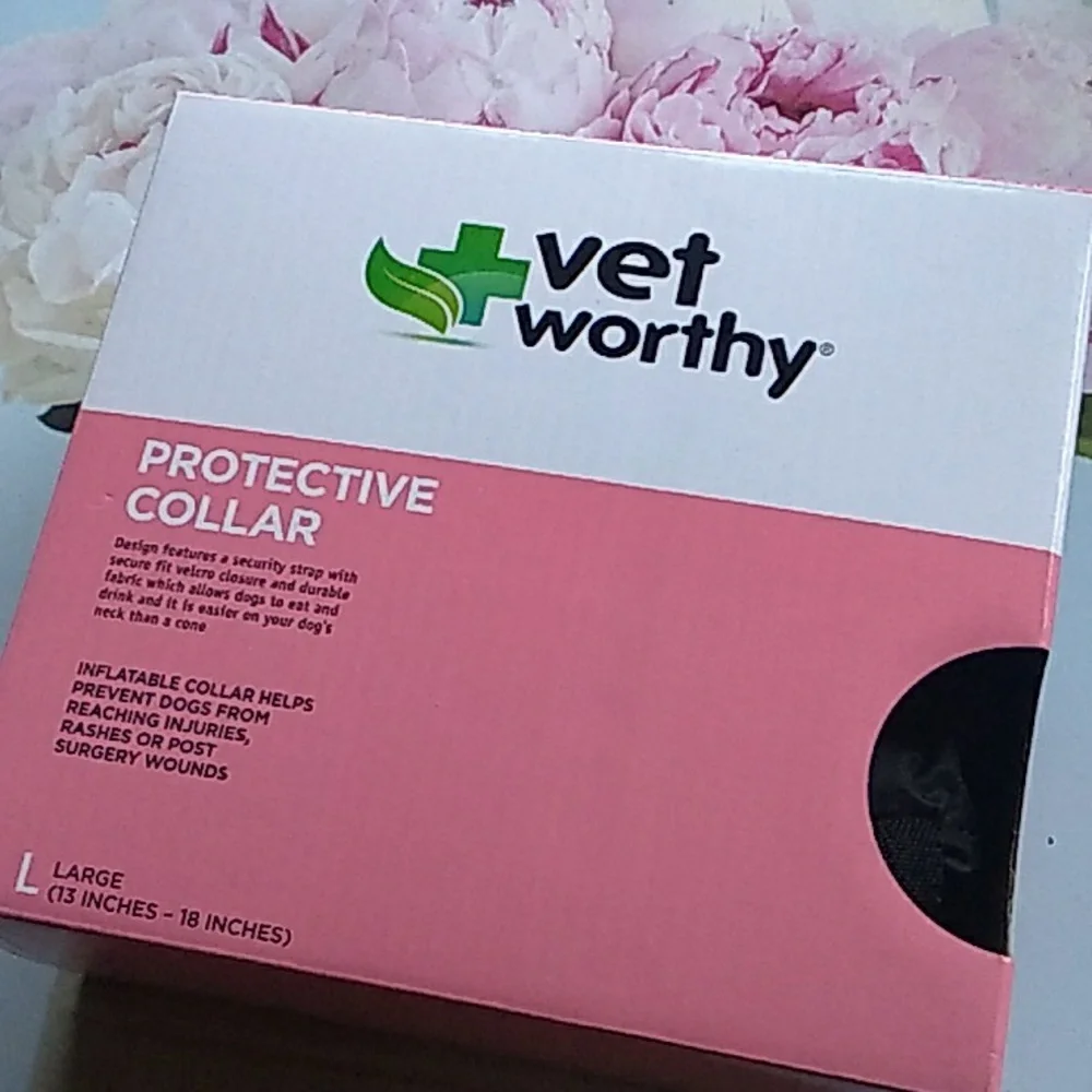 Protective Inflatable Dog Collar - Picture 4 of 4